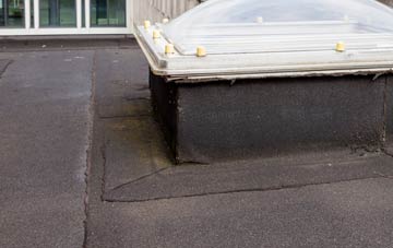 disadvantages of Dell flat roofs