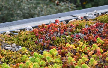 the cost of Dell green roof installation