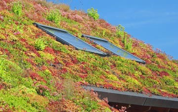 Dell living roof systems