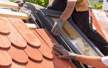 replacement Dell roof windows