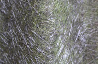 Dell fibreglass roof work