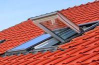 Dell roof window