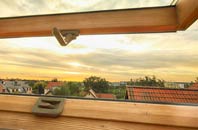 rated Dell roof window companies